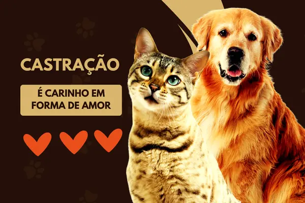 [Insira aqui o tema do seu post: exemplo — Castração Responsável: Proteja Seu Pet e Faça a Diferença]